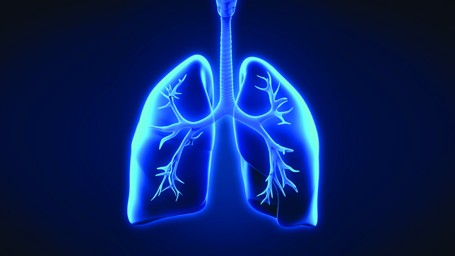 Pulmones azul neón